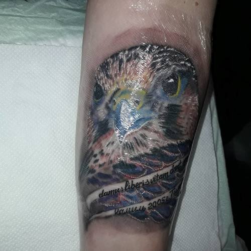 Тату под пленкой для заживления