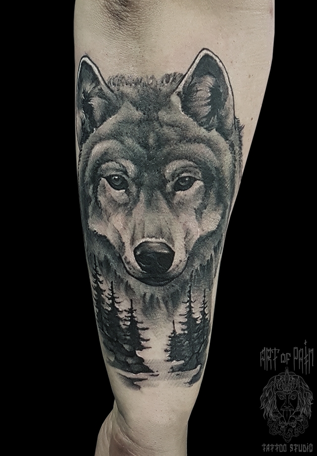 Популярная мужская татуировка волка