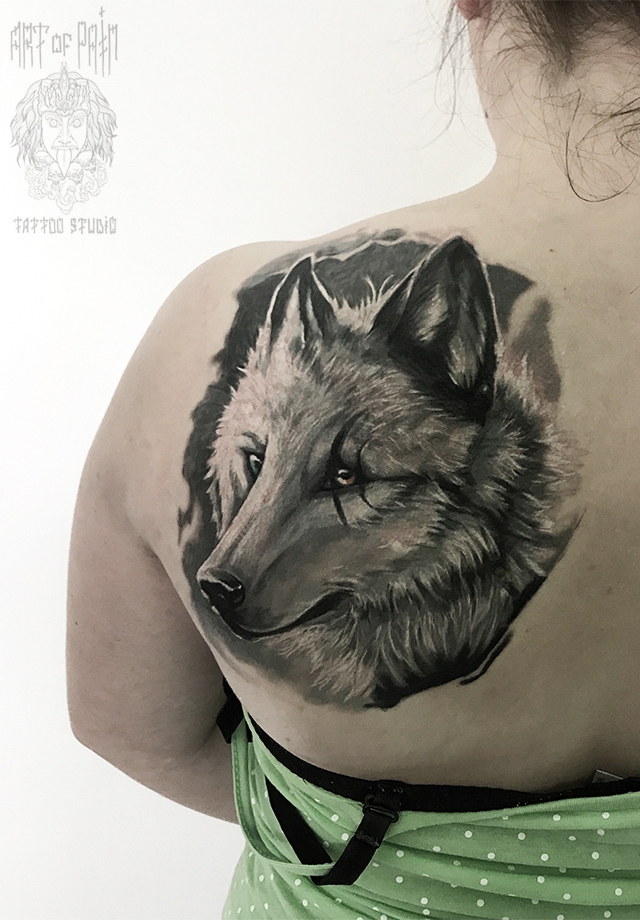 Татуировка волк на спине девушки