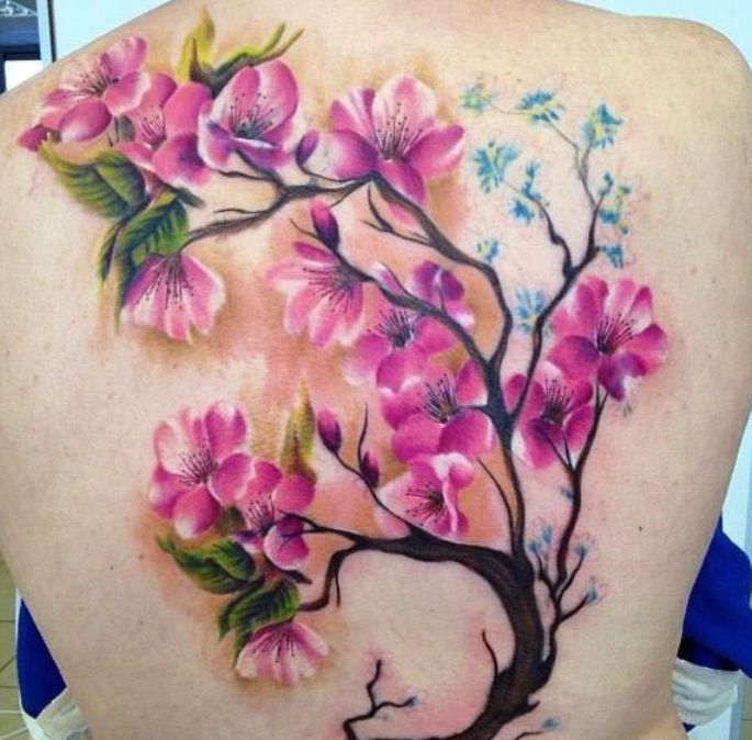 Цветущая сакура на спине