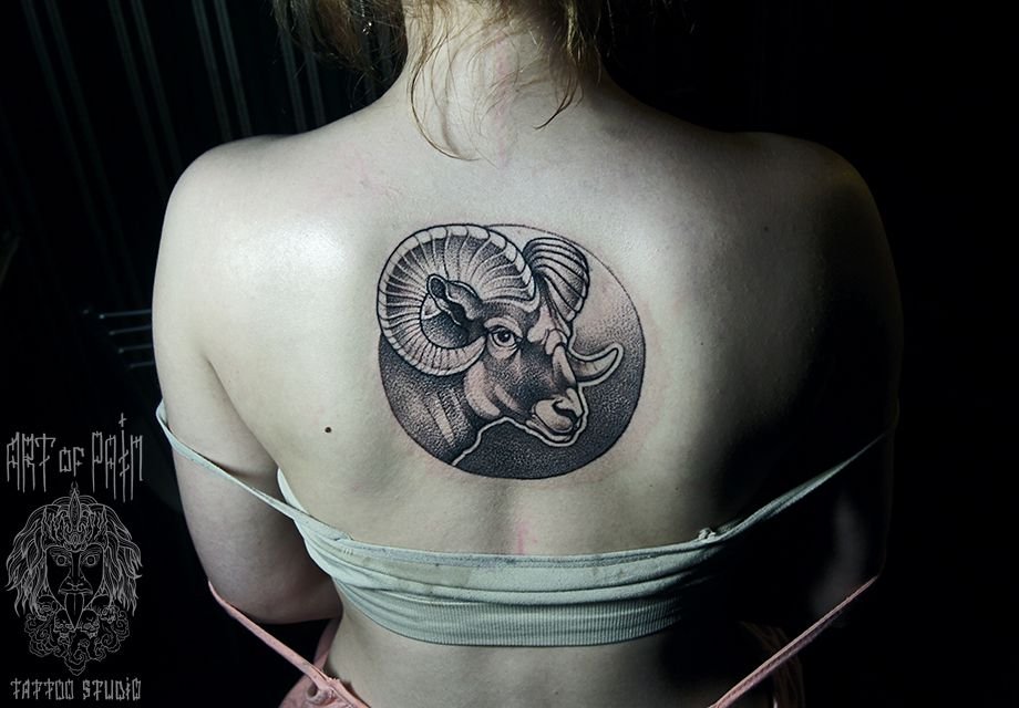 Символика татуировки зодиака Скорпион
