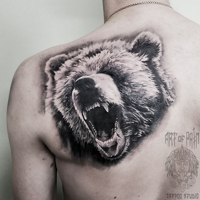 Татуировка мужская реализм на лопатке медведь 3650