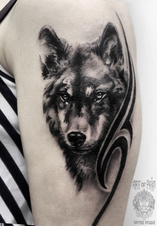 Татуировка женская black&grey на плече голова волка и орнамент – Мастер тату: 