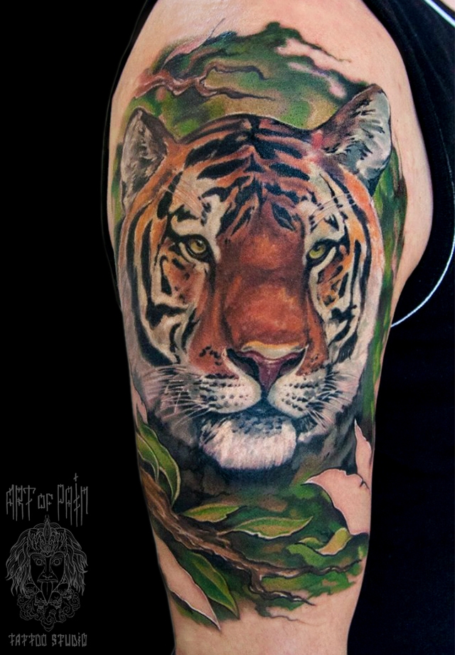 Татуировка мужская реализм на плече тигр и ветвь дерева – Мастер тату: 