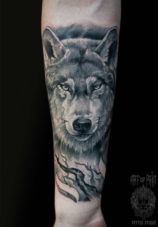 Татуировка мужская реализм на предплечье волк и ветви – Мастер тату: 