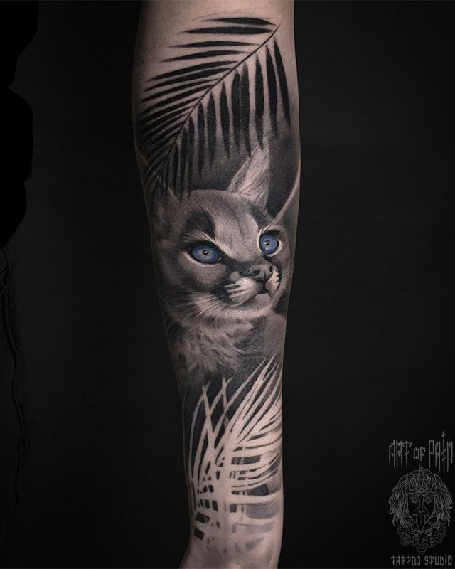 Татуировка женская реализм на предплечье кошка – Мастер тату: Анастасия Юсупова