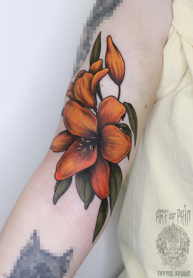 Татуировка женская нью-скул на плече лилия – Мастер тату: Анастасия Родина