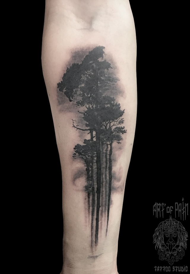 Татуировка мужская black&grey на предплечье деревья – Мастер тату: Анастасия Родина