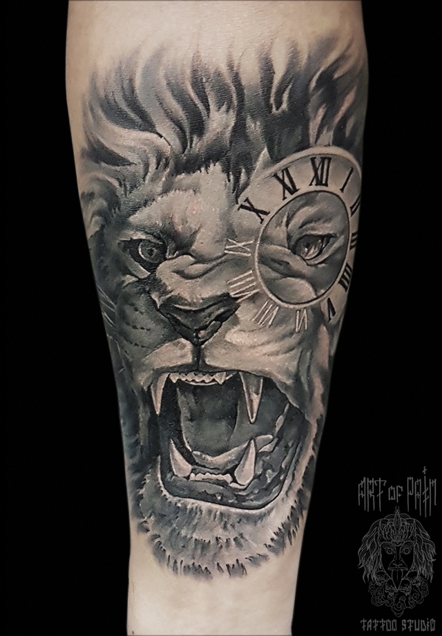 Татуировка мужская black&grey на предплечье лев и часы – Мастер тату: 