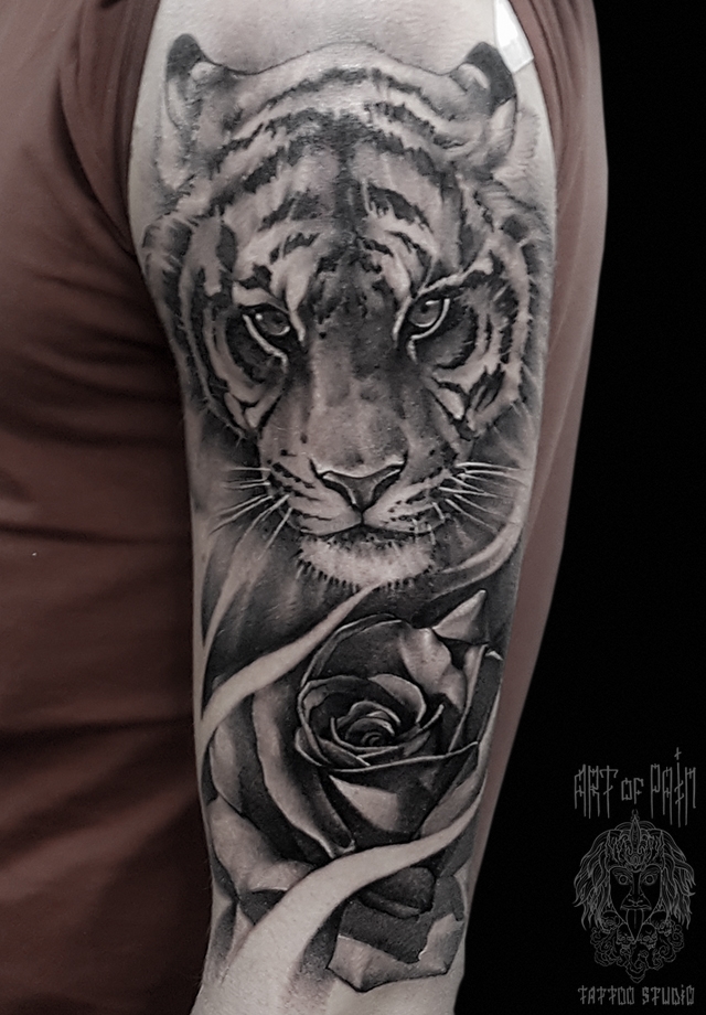 Татуировка мужская black&grey на плече тигр – Мастер тату: 