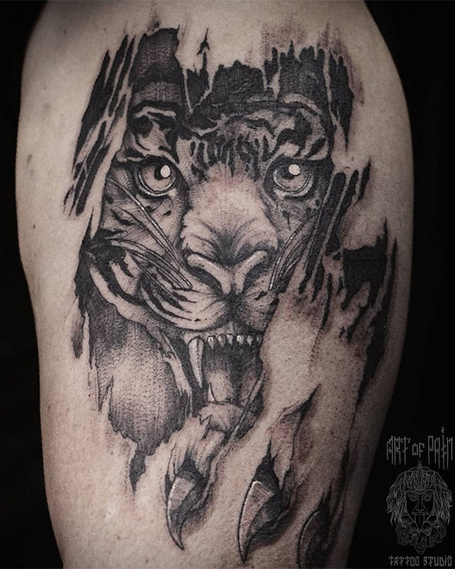 Татуировка мужская графика на плече тигр – Мастер тату: 