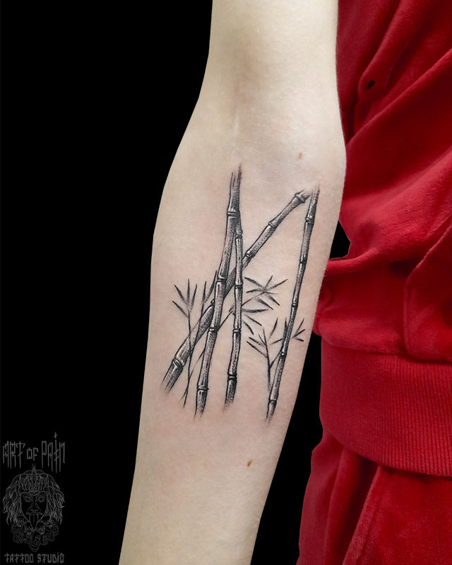 Татуировка женская графика на предплечье бамбук – Мастер тату: Николай Орф