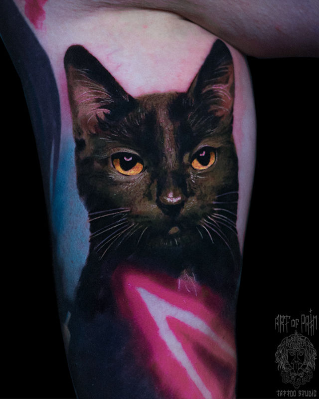 Татуировка мужская реализм на руке кот – Мастер тату: Александр Pusstattoo