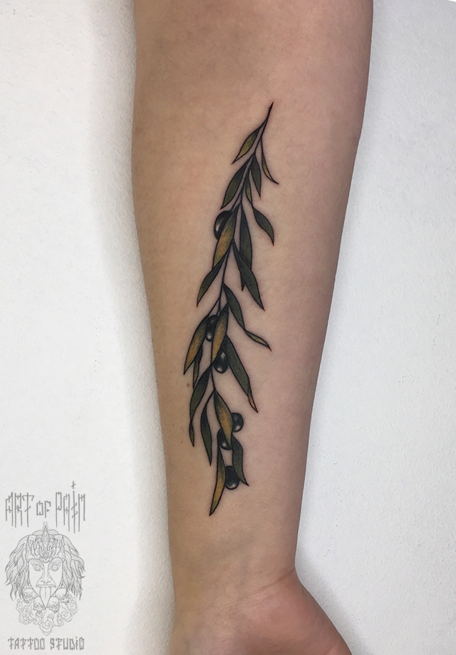 Татуировка женская нью-скул на предплечье веточка оливы – Мастер тату: Анастасия Родина