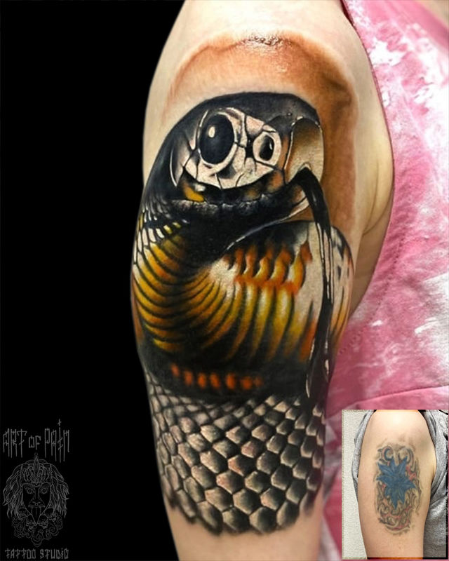 Татуировка женская реализм на плече змея кавер – Мастер тату: 
