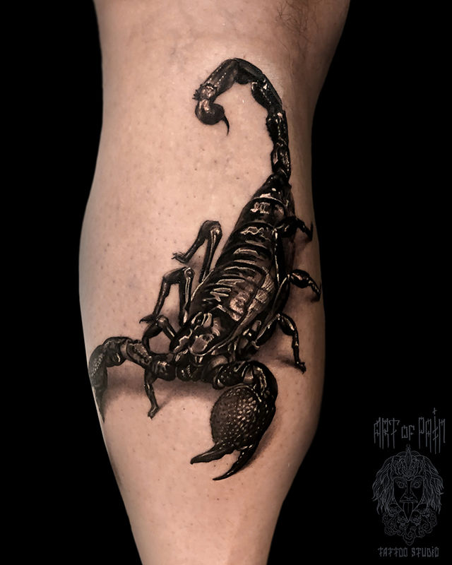 Татуировка мужская реализм на голени скорпион – Мастер тату: Вячеслав Плеханов