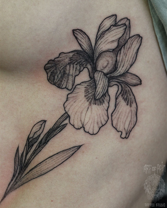 Татуировка женская графика на боку цветок ириса – Мастер тату: Надежда Полякова