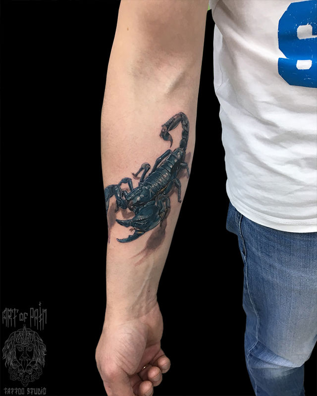 Татуировка мужская реализм на предплечье скорпион – Мастер тату: 