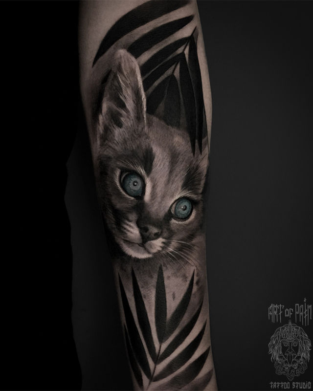 Татуировка женская реализм на предплечье котенок – Мастер тату: Анастасия Юсупова