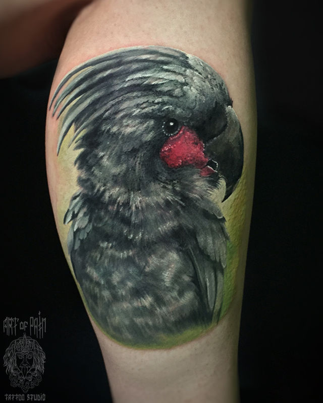 Татуировка женская реализм на голени попугай – Мастер тату: 