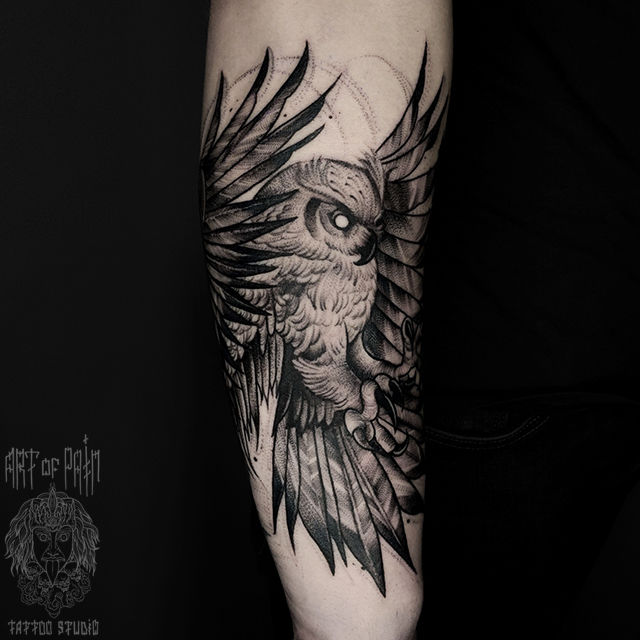 Татуировка мужская графика на предплечье сова – Мастер тату: Анастасия Юсупова