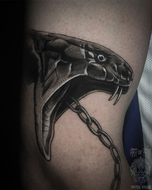 Татуировка мужская реализм на руке голова змеи – Мастер тату: Анастасия Юсупова