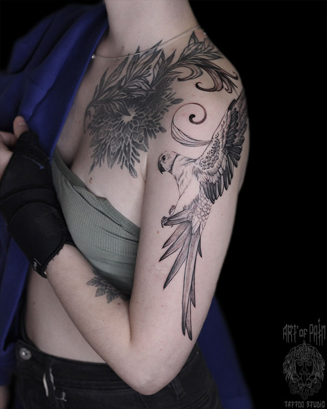 Татуировка женская графика на плече попугай – Мастер тату: Надежда Полякова