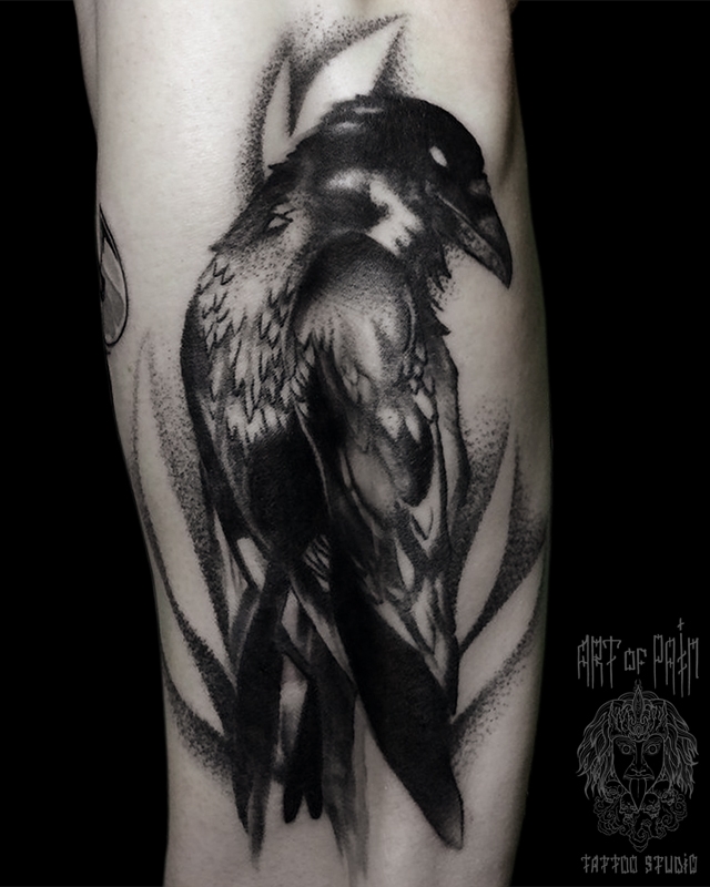 Татуировка мужская black&grey на предплечье ворон – Мастер тату: 