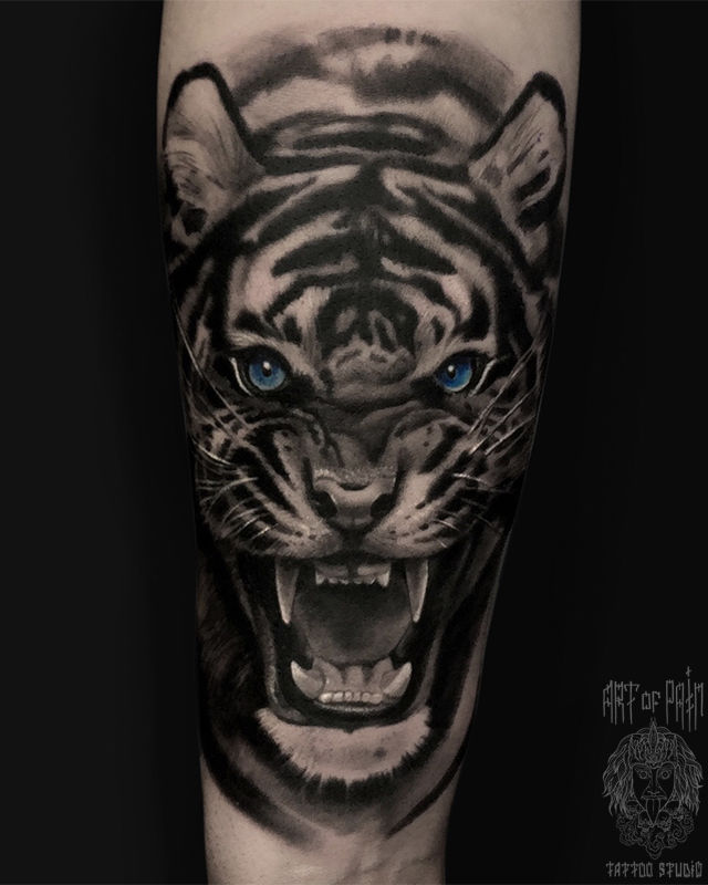 Татуировка мужская реализм на предплечье тигр с голубыми глазами – Мастер тату: Анастасия Юсупова