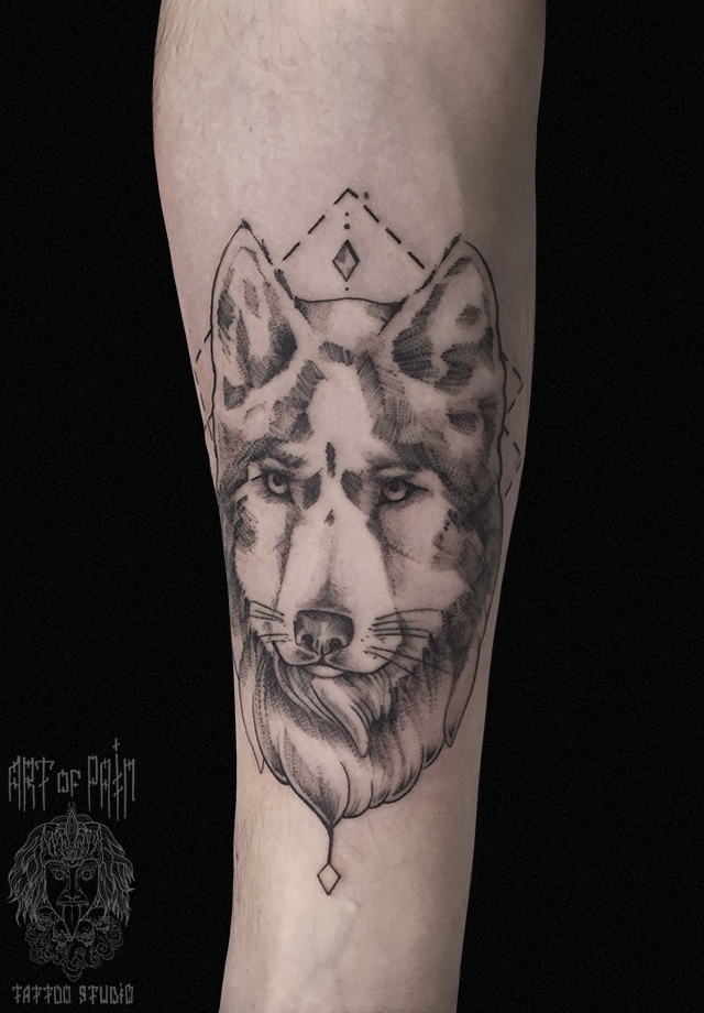 Татуировка мужская графика на предплечье волк и узор – Мастер тату: 