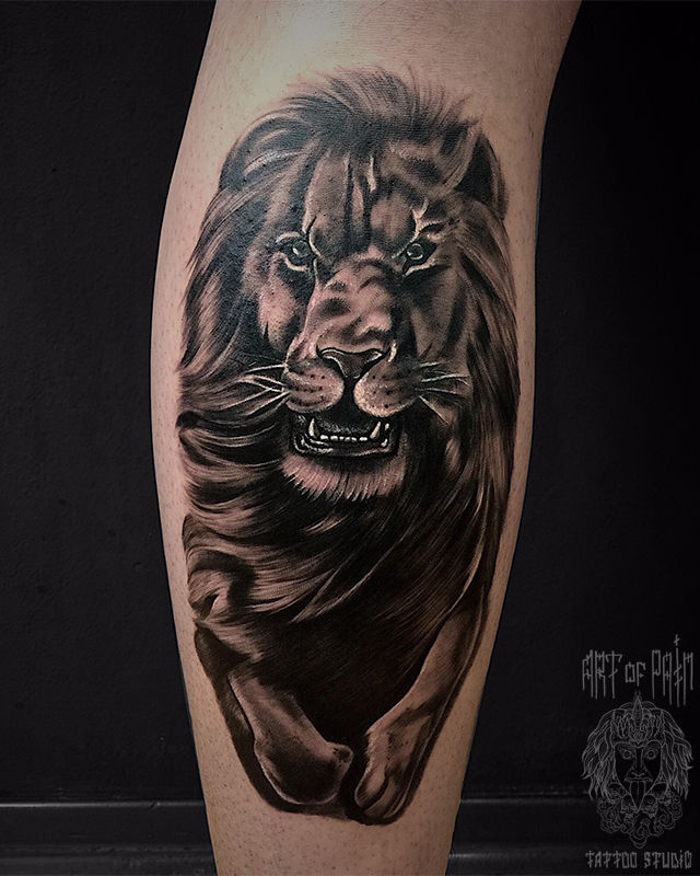 Татуировка мужская реализм на икре лев – Мастер тату: Анастасия Юсупова