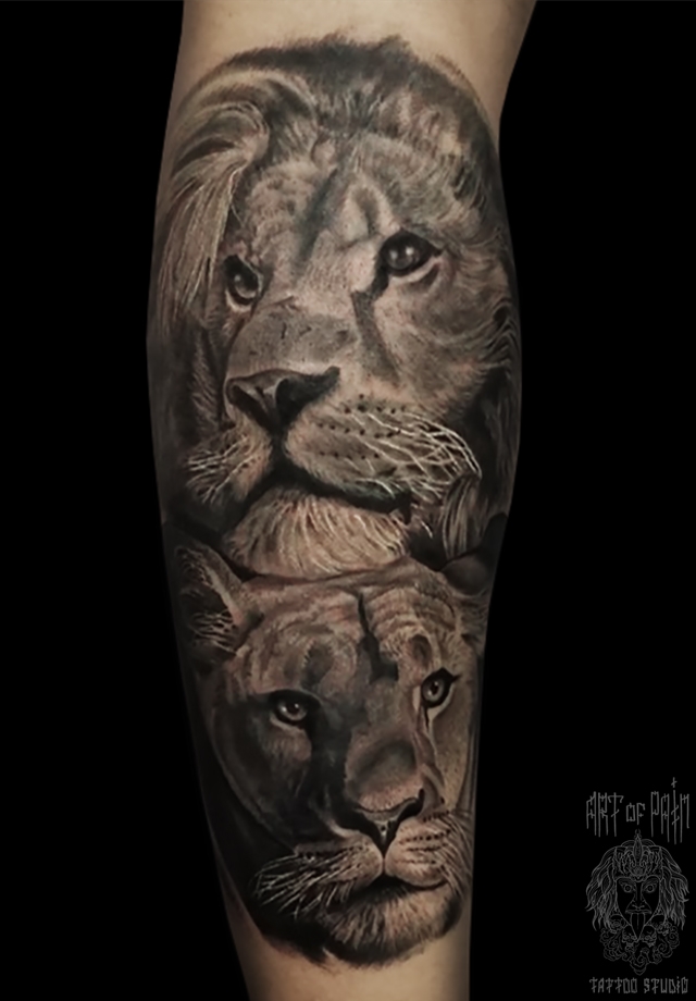 Татуировка мужская реализм на голени львы – Мастер тату: 