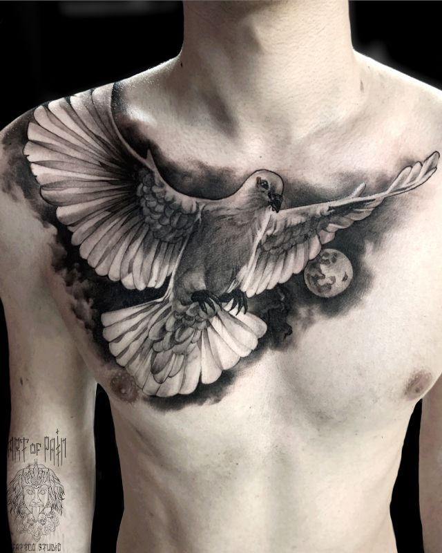 Татуировка мужская реализм на груди голубь – Мастер тату: 
