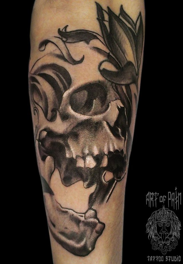 Татуировка мужская Black&Grey на предплечье череп с выбитыми зубами – Мастер тату: 