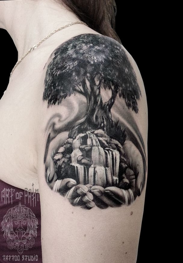 Татуировка женская Black&Grey на плече дерево – Мастер тату: 