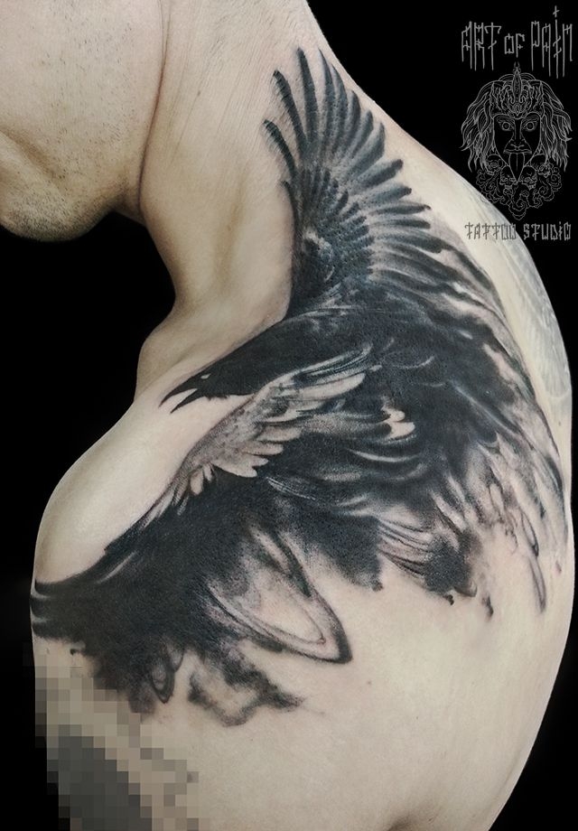 Татуировка мужская Black&Grey на лопатке ворон – Мастер тату: 