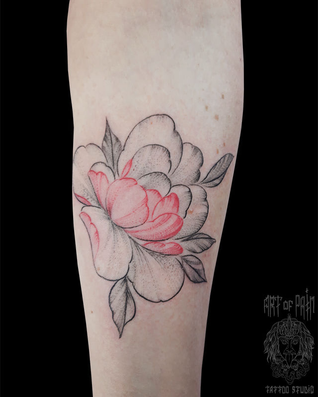 Татуировка женская графика на предплечье цветок с красными лепестками – Мастер тату: 