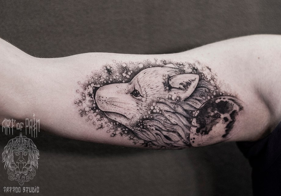 Татуировка женская дотворк на предплечье волчонок с луной – Мастер тату: 