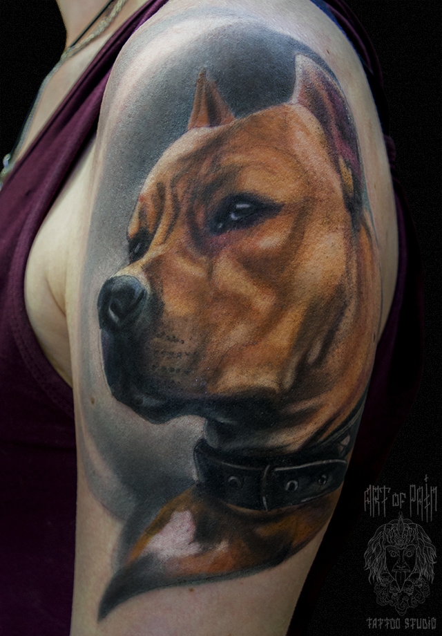 Татуировка женская реализм на плече собака – Мастер тату: 