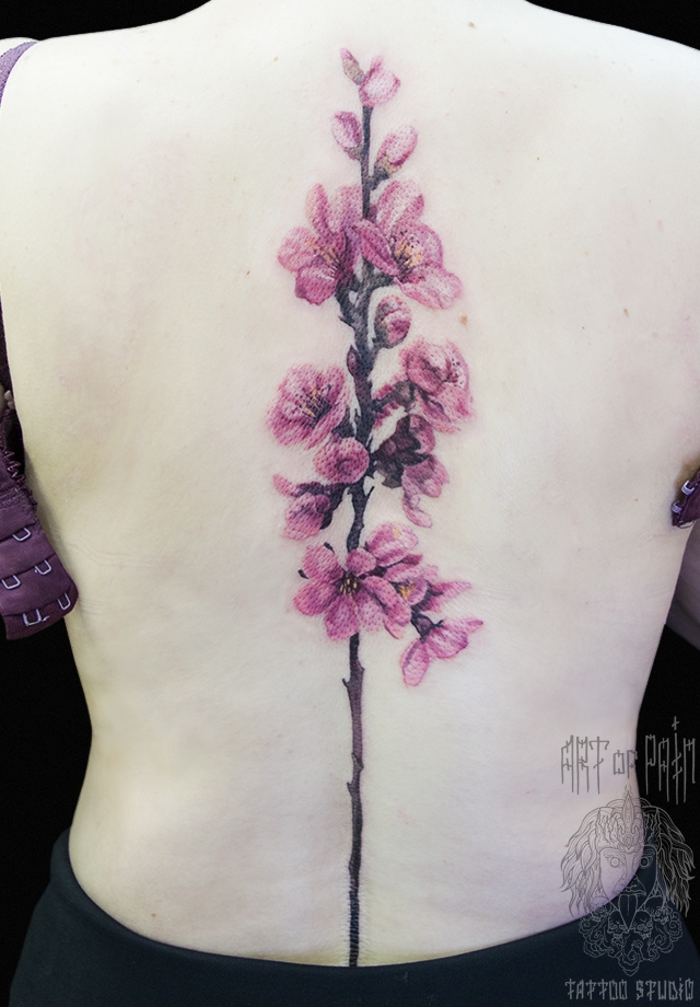 Татуировка женская реализм на спине веточка с цветами вишни – Мастер тату: 