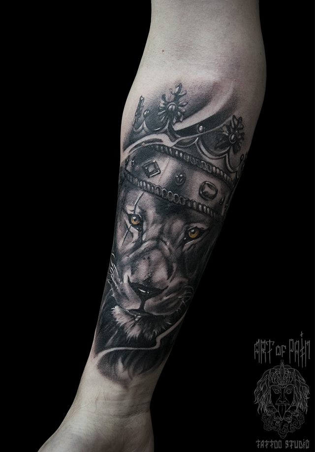 Татуировка мужская black&grey на предплечье лев с короной – Мастер тату: 