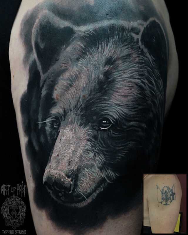 Татуировка мужская реализм на плече медведь – Мастер тату: Александр Pusstattoo