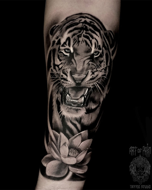 Татуировка женская black&grey на предплечье тигр – Мастер тату: Анастасия Юсупова
