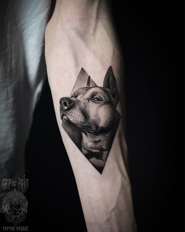 Татуировка мужская реализм на предплечье собака – Мастер тату: Анастасия Юсупова