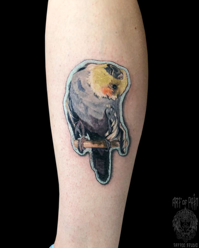 Татуировка женская реализм на голени австралийский попугай – Мастер тату: 
