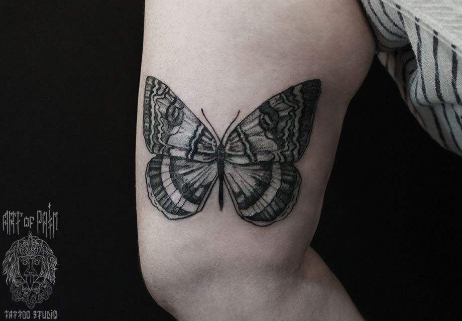 Татуировка женская графика на плече бабочка – Мастер тату: 
