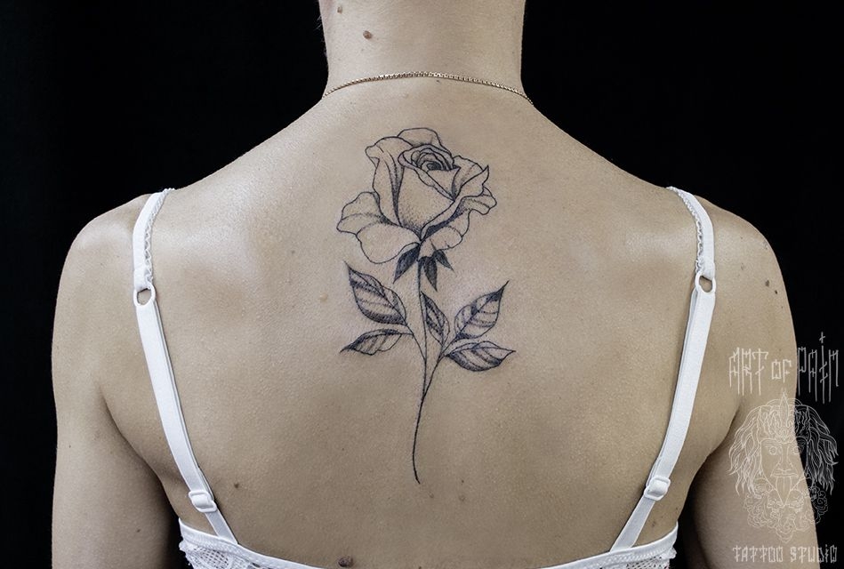 Татуировка женская графика на спине цветок розы – Мастер тату: 