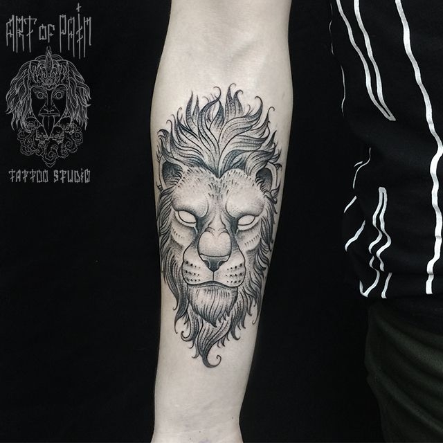 Татуировка мужская графика на предплечье голова льва – Мастер тату: 