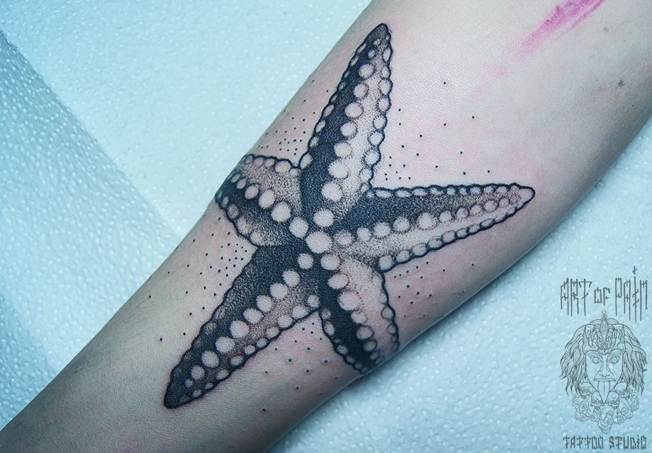Татуировка женская графика на предплечье морская звезда – Мастер тату: 