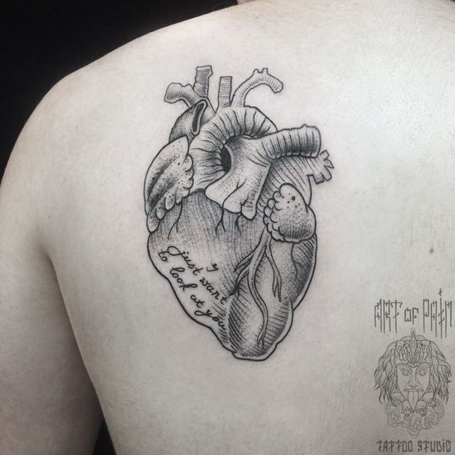 Татуировка мужская графика на лопатке человеческое сердце – Мастер тату: 